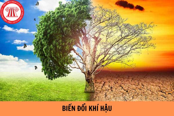 Biến đổi khí hậu là gì? Nguyên nhân dẫn đến biến đổi khí hậu ở Việt Nam?