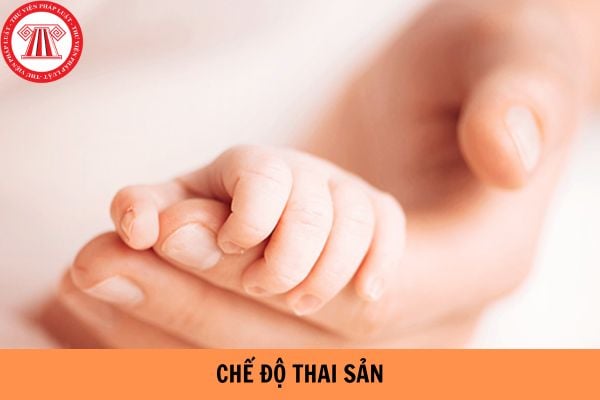 Hỏi đáp Pháp luật