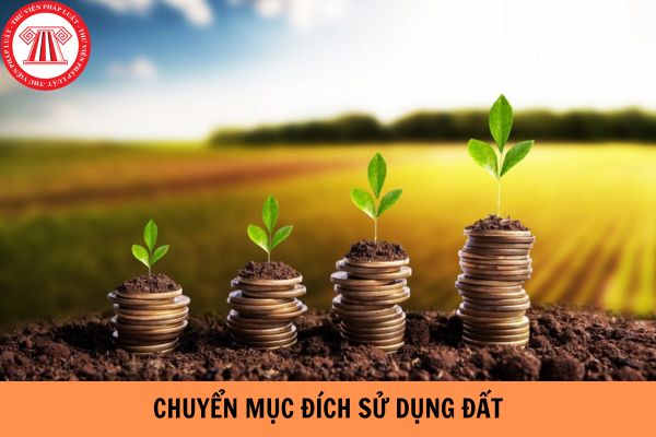 Hộ gia đình chuyển mục đích sử dụng đất có bị khống chế hạn mức không?