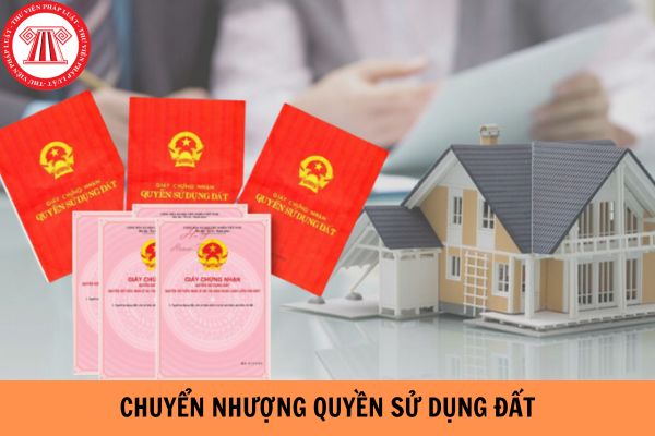 Khi nào được thực hiện quyền chuyển nhượng quyền sử dụng đất?