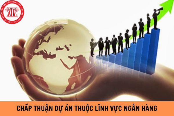 Ai là người có thẩm quyền chấp thuận dự án thuộc lĩnh vực ngân hàng đầu tư ra nước ngoài?