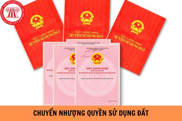 Quyền chuyển nhượng quyền sử dụng đất được quy định như thế nào?