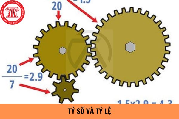 Tỷ số và tỷ lệ được hiểu như thế nào? Những yếu tố ảnh hưởng đến tỷ số và tỷ lệ?