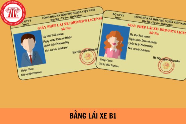 Bằng lái xe B1 số tự động chạy được xe gì? Người lái xe hạng B1 phải đáp ứng những điều kiện gì?