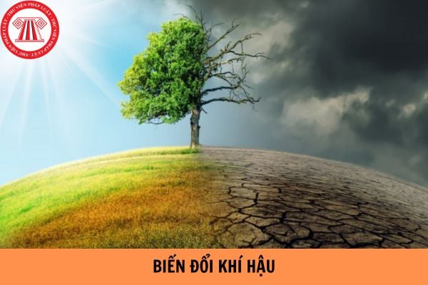 Các biểu hiện của biến đổi khí hậu như thế nào?