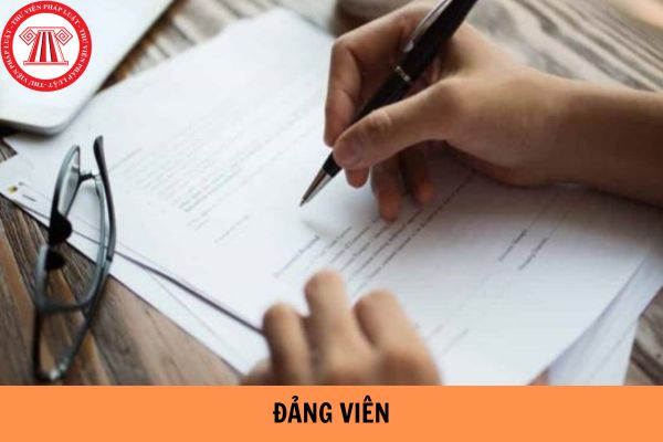 Tiêu chí xếp loại Đảng viên hoàn thành tốt nhiệm vụ là gì?