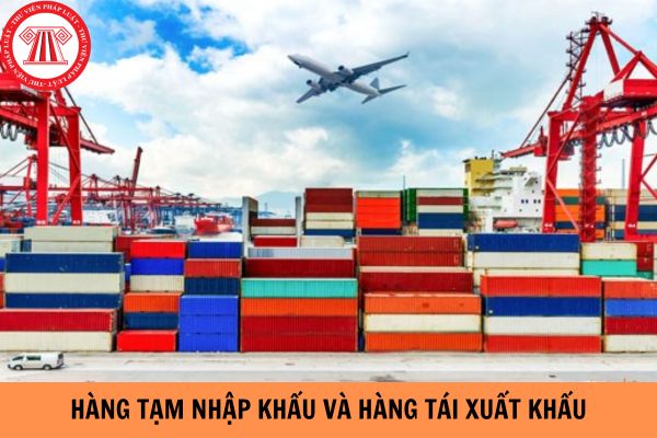 Hàng tạm nhập khẩu và hàng tái xuất khẩu có phải phát hành hóa đơn giá trị gia tăng không?