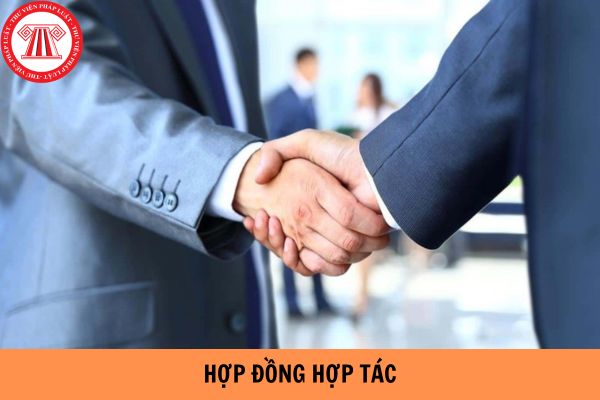 Mẫu hợp đồng hợp tác mới nhất năm 2024?