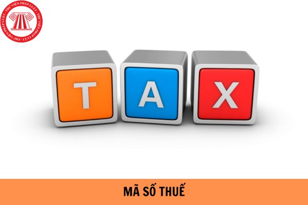 Có phải làm thủ tục chuyển mã số thuế người phụ thuộc sang mã số thuế cá nhân không?