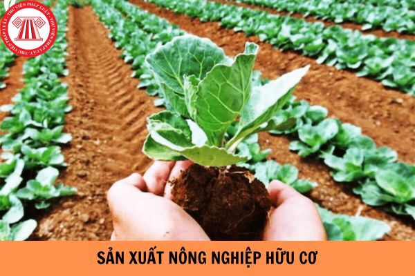 Hữu cơ là gì? Sản xuất nông nghiệp hữu cơ là gì?