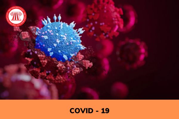 Hành vi làm lây lan dịch bệnh truyền nhiễm trong việc phòng chống dịch Covid - 19 cho cộng đồng có bị xử lý hình sự không?