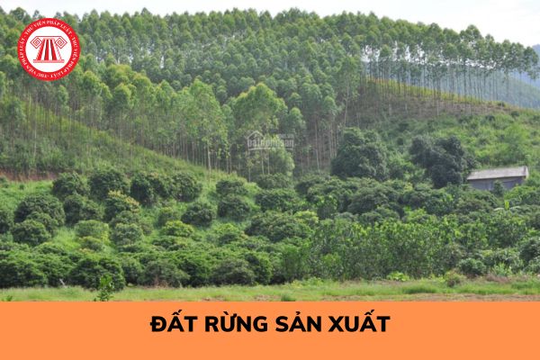 Đất rừng sản xuất có được làm trang trại không? Trình tự xây trang trại trên đất rừng sản xuất hợp pháp?