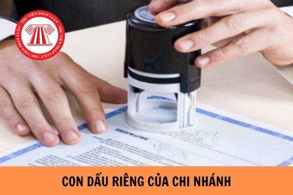 Chi nhánh có con dấu riêng không? Chi nhánh có được ký hợp đồng không?