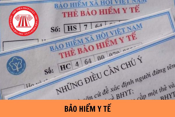 Việt kiều có được tham gia mua bảo hiểm y tế không? Thủ tục mua bảo hiểm y tế cập nhật mới nhất năm 2023?