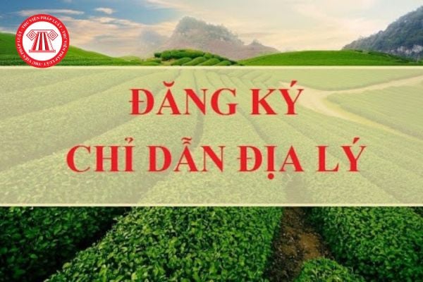 Thủ tục đăng ký bảo hộ chỉ dẫn địa lý?