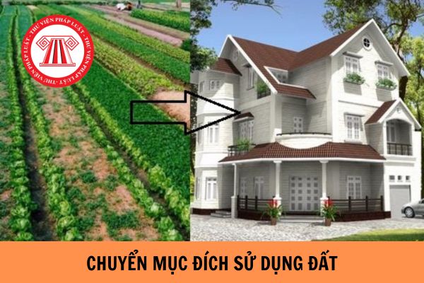 Mẫu đơn xin chuyển mục đích sử dụng đất sản xuất kinh doanh sang đất ở mới nhất năm 2023?