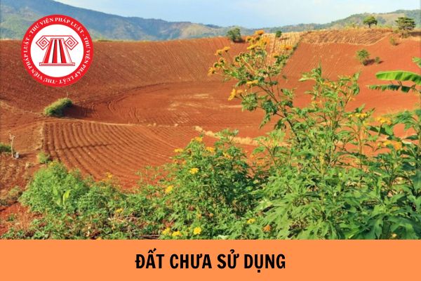 Đất chưa sử dụng gồm những loại đất nào? Đưa đất chưa sử dụng vào sử dụng như thế nào?