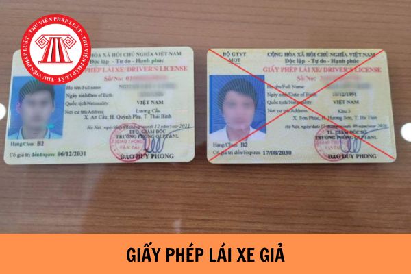 Người tham gia giao thông sử dụng giấy phép lái xe giả gây tai nạn bị xử lý như thế nào?