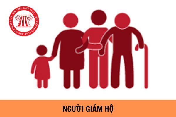 Con là người giám hộ cho cha mẹ được không?