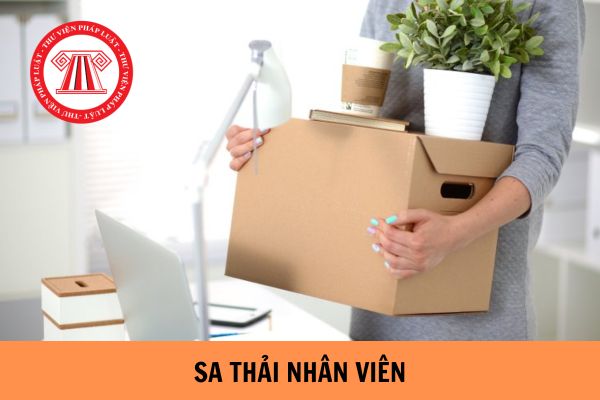 Người có thẩm quyền sa thải nhân viên trong doanh nghiệp là ai?