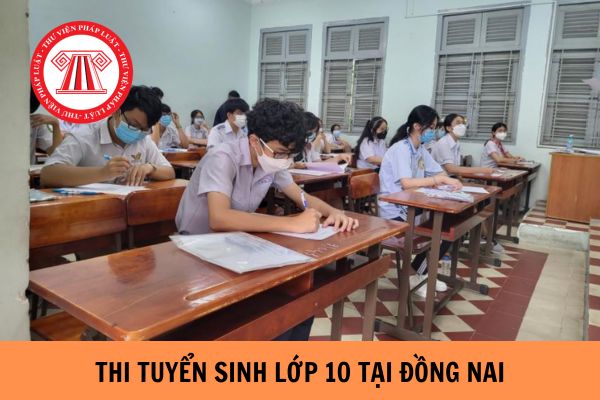 Hướng dẫn cách tra cứu điểm thi tuyển sinh lớp 10 tại Đồng Nai mới nhất năm 2023?