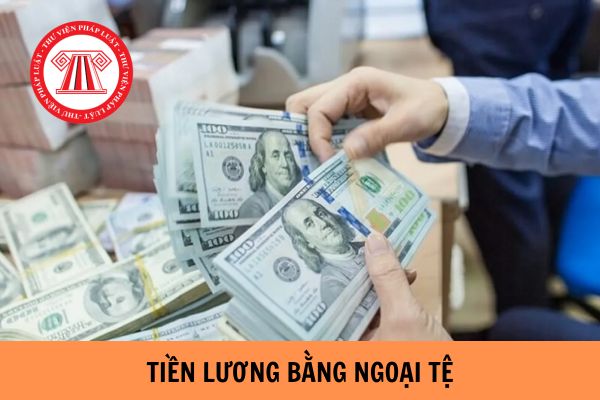 Tiền lương bằng ngoại tệ thì người lao động đóng bảo hiểm xã hội như thế nào?