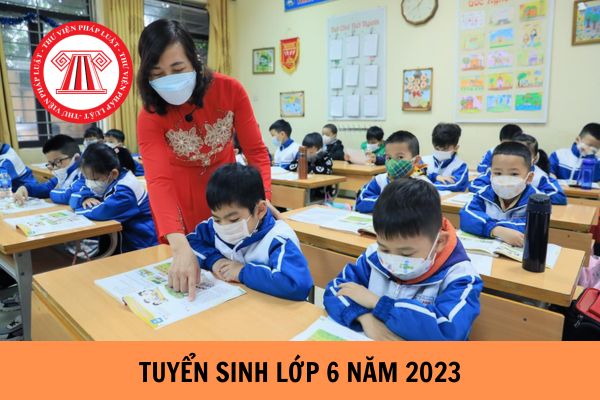 Thành phố Hồ Chí Minh tuyển sinh lớp 6 năm học 2023 - 2024 bắt đầu từ 01/7/2023?