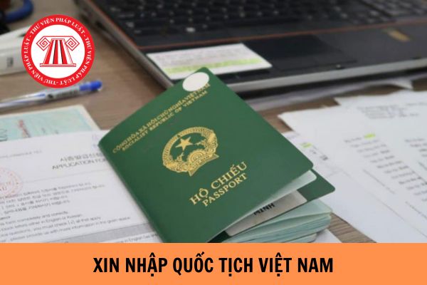 Khi xin nhập quốc tịch Việt Nam người nước ngoài cần đáp ứng những điều kiện gì?