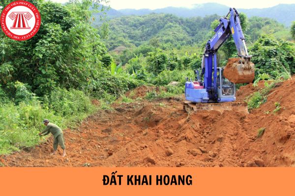 Hỏi đáp Pháp luật