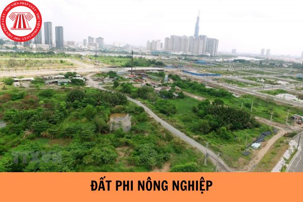 Hồ sơ nộp thuế sử dụng đất phi nông nghiệp được hướng dẫn như thế nào?