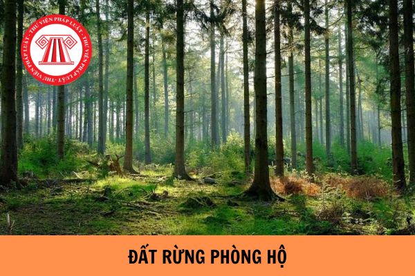 Đất rừng phòng hộ được chuyển sang đất nông nghiệp không?