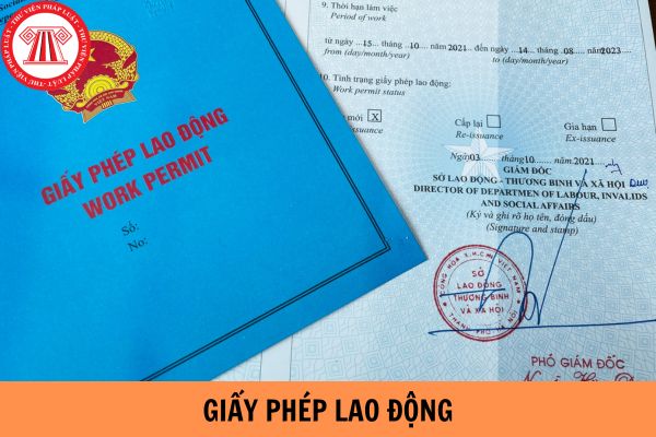Người nước ngoài làm việc tại Việt Nam nhưng không có giấy phép lao động bị phạt bao nhiêu tiền?