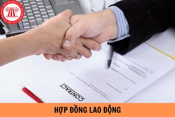 Người sử dụng lao động buộc người lao động thực hiện hợp đồng lao động để trả nợ cho mình bị phạt bao nhiêu tiền?