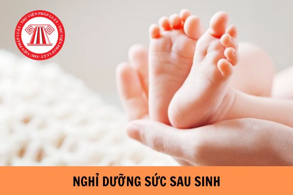 Người lao động nữ được nghỉ dưỡng sức sau sinh tối đa bao nhiêu ngày?