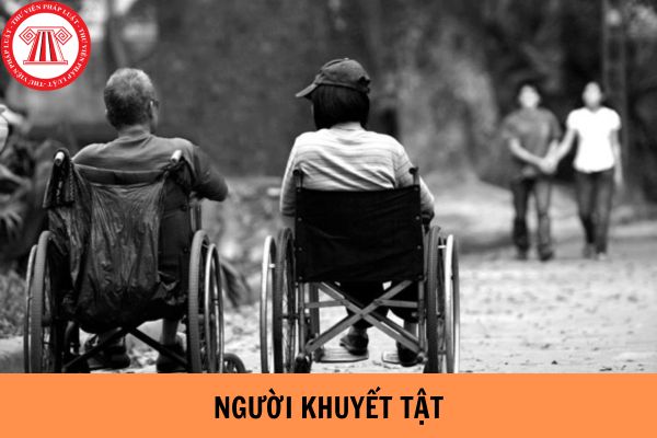 Người khuyết tật là người hạn chế năng lực hành vi dân sự phải không?