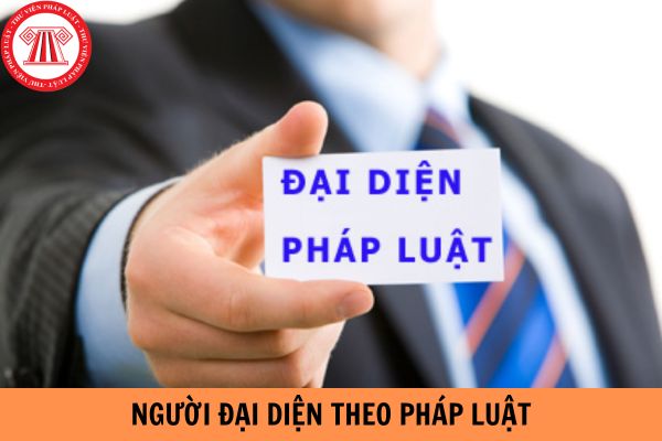 Có nhiều hơn 01 người đại diện theo pháp luật nhưng doanh nghiệp không thông báo trên trang thông tin điện tử của mình bị phạt bao nhiêu tiền?