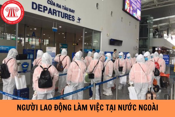 Người lao động Việt Nam làm việc ở nước ngoài theo hợp đồng doanh nghiệp trúng thầu được không?