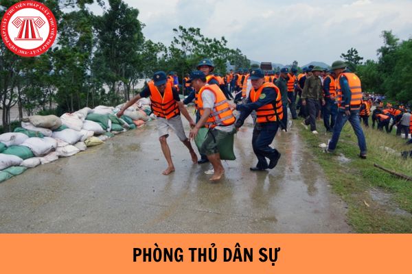 Hỏi đáp Pháp luật