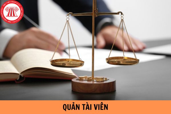 Sửa chữa hồ sơ đề nghị cấp chứng chỉ hành nghề Quản tài viên bị phạt bao nhiêu tiền?