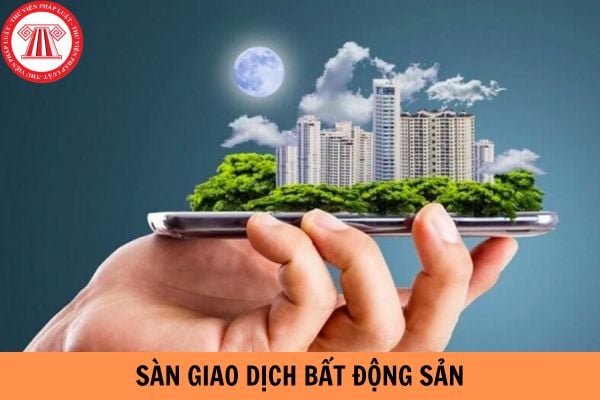 Hoạt động của doanh nghiệp kinh doanh sàn giao dịch bất động sản được quy định như thế nào?