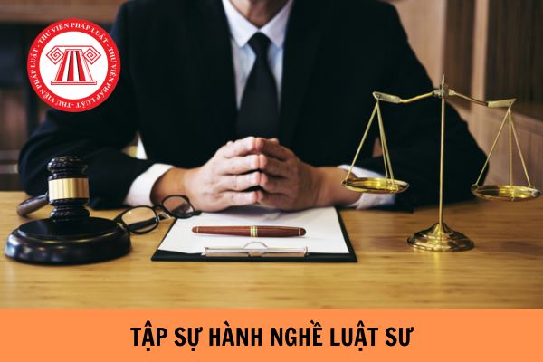 Người tập sự hành nghề luật sư phải đáp ứng điều kiện gì?