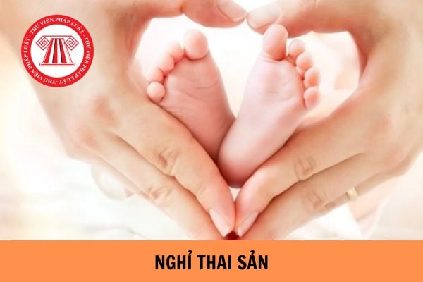 Mẫu đơn xin nghỉ thai sản trước khi sinh cho người lao động mới nhất năm 2023?