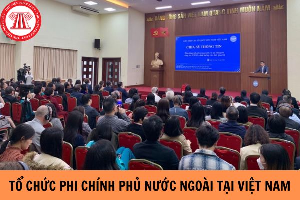 Hồ sơ đăng ký hoạt động tổ chức phi chính phủ nước ngoài tại Việt Nam như thế nào?