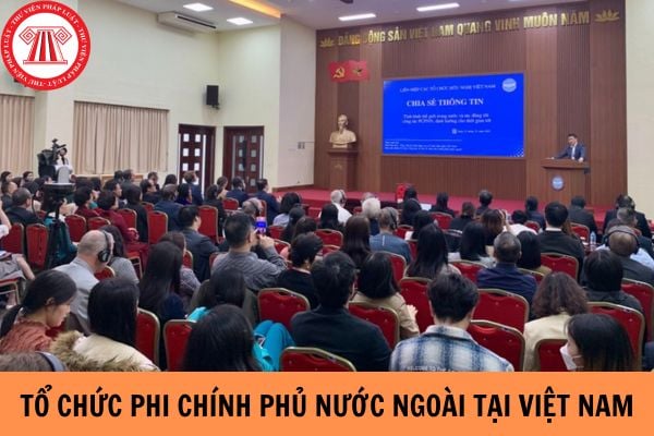 Hồ sơ đăng ký hoạt động tổ chức phi chính phủ nước ngoài tại Việt Nam như thế nào?