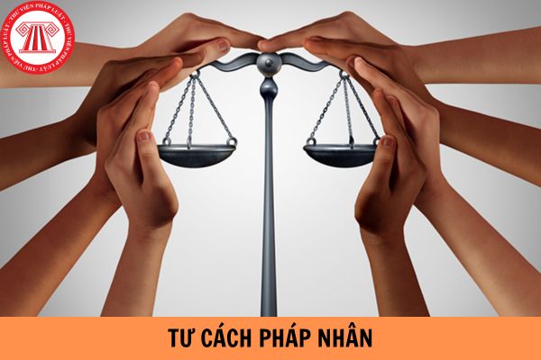 Doanh nghiệp nào không có tư cách pháp nhân?