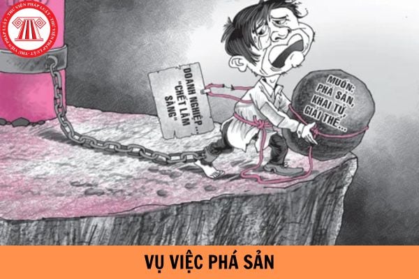 Cung cấp chứng cứ không chính xác đến vụ việc phá sản cho chủ nợ bị phạt bao nhiêu tiền?