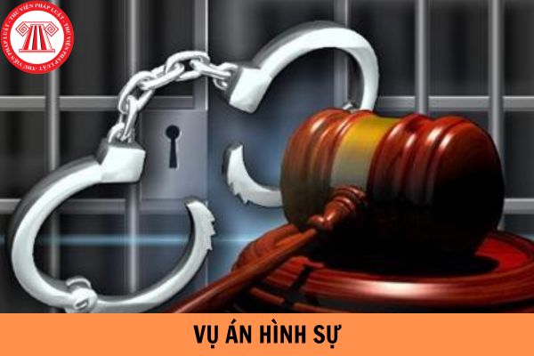 Mẫu Đơn Xin Sao Chụp Hồ Sơ Vụ Án Hình Sự Mới Nhất 2023?