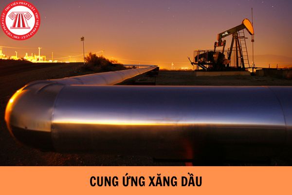 Phê duyệt Quy hoạch hạ tầng dự trữ, cung ứng xăng dầu, khí đốt quốc gia?