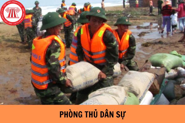 Chiến lực quốc gia phòng thủ dân sự được xây dựng như thế nào?