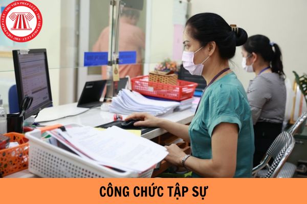 Công chức tập sự có được hỗ trợ tiền trợ cấp khi bị hủy bỏ quyết định tuyển dụng không?